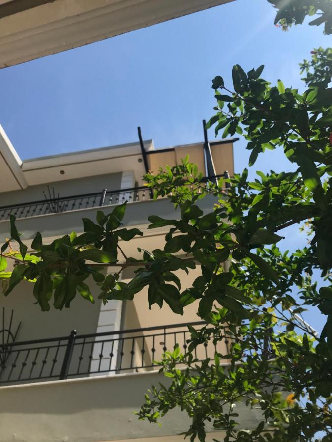 Villa Dorita Luxury Apartments Parga Exteriör bild